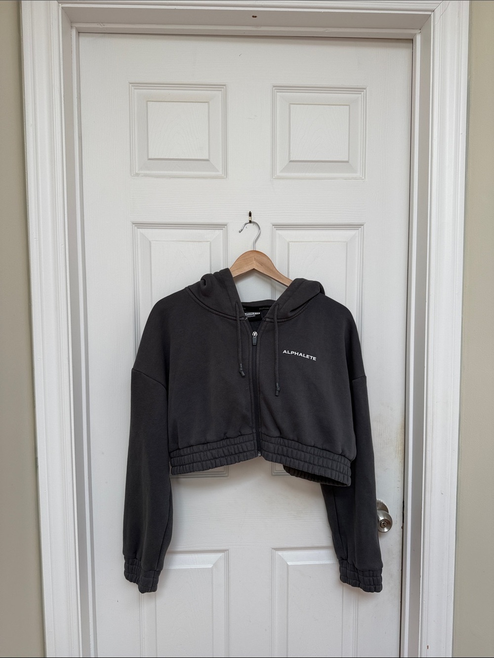 Alphalete Cropped Hoodie (M)